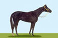 virtual horse racing